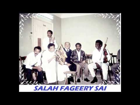 محمد وردي صدفة Salah Fageery Sai
