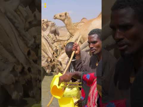 When Water Flows Life Follows Kenya