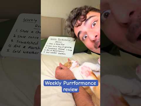 مر رون بأسبوع عصيب قطة قطة مضحكة قطط انستغرام