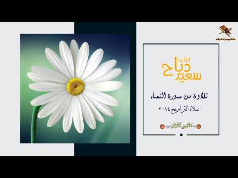القارئ سعيد دباح Said Debbah تلاوة من سورة النساء صلاة التراويح 2014