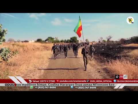 Godina Salaalee Aanaa Dharraatti Sochii Humnoonni Finxaaleyyii Amaaraa Taasisaa Jiran Itti Fufe