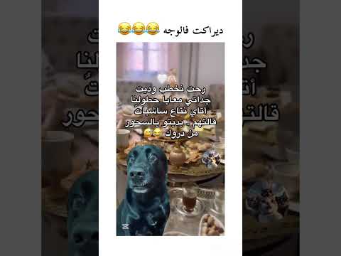 والله ندير أبوني أك حلفت ورقلة تبسة بلعباس الجزائر قسنطينة وهران عنابة سكيكدة جيجل بلعباس الجلفة