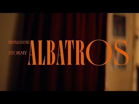 STORMY ALBATROS Music Video Pt 2 6