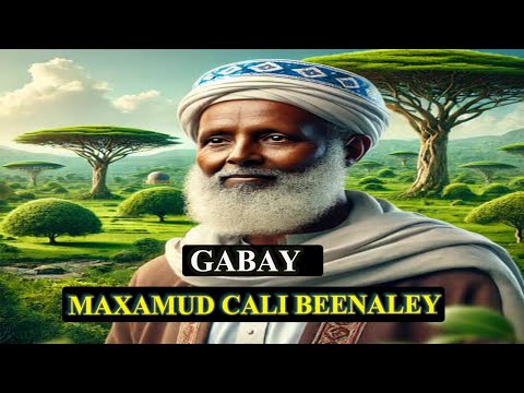 Gabaygii Baxnaano Maxamuud Cali Beenaleey
