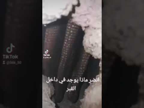 شاهد وجود الثعبان في داخل احد القبور اللهم نسألك حسن العاقبه