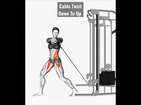 Cable TwistDown To Up Shorts Short