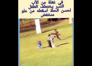 لحظة اختطاف نسر لطفل أمام أبوه