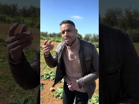 داك صاحبك لي معندوش الزهر Funny