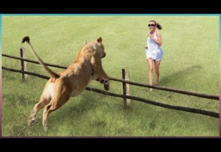 لحظه های دیدنی که حیوانات بعد از مدتها صاحبان خود را میبند این لحظه های احساسی را باور میکنید وجود د