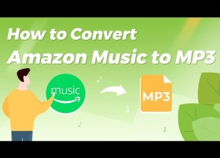 2026 Updated How To Download Convert Amazon Music To MP3