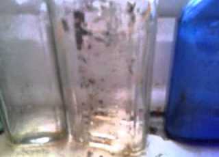  Myne And Rowans Old Bottles