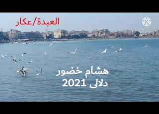  هشام خضور اجمل دبكة دلالي جديد 2021