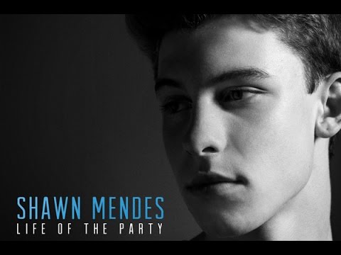 Shawn Mendes Show You Audio