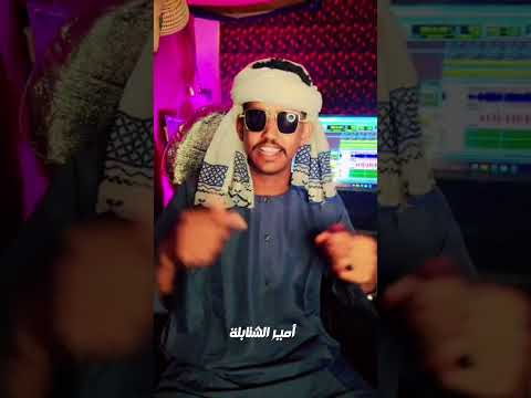 الفنان أمير الشنابلة 2026