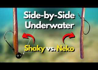 Neko Vs Shaky Head Underwater Look At What You NEED To Know