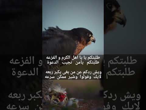 ابيات شعر قويه شعر بدوي اشتراك بالقناة