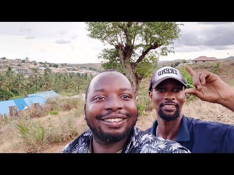 TAYARISHA DAWA YA KUSAFISHA NA KUKINGA MJI WAKO KWA NGAKA NA UNGA WA GOME LA MTI MKUU 255715524946