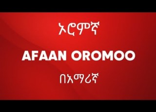 Speak Afaan Oromoo Daily Englh Amharic Afaanoromoo