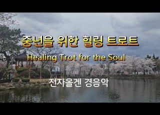 Playlist 중년을 위한 힐링 트로트 Healing Trot For The Soul 뚜니맘 감성 트로트 전자올겐경음악