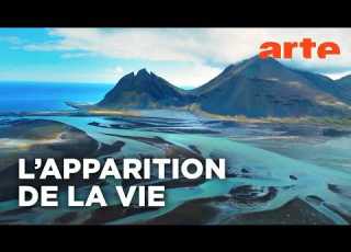  Terre Les Forces Du Vivant Documentaire ARTE