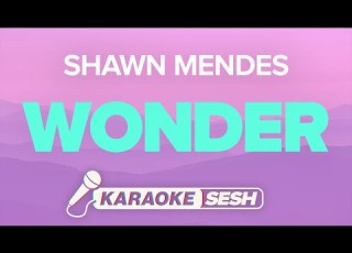  Shawn Mendes Wonder Karaoke