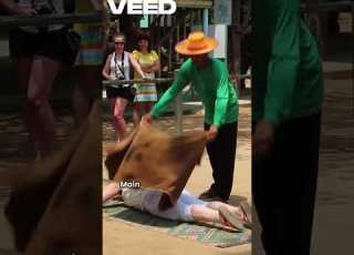Kartoon Video Kartun Viral