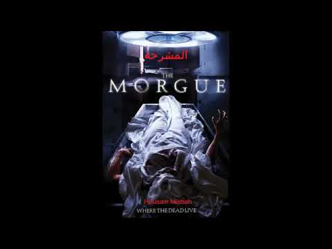 احمد يونس المشرحه