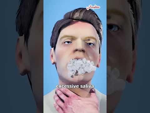 أعراض داء الكلب موضحة