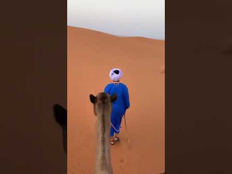 تنها در صحرای بزرگ آفریقا مراکش