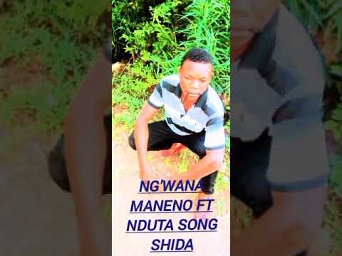 Ng Wana Maneno Ft Nduta Ze Don Song Shida