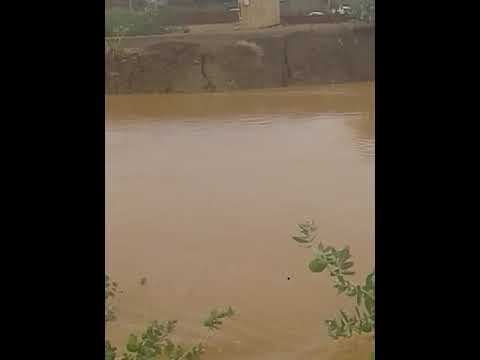 السودان خريف 2020 مرابيع الشريف شرق النيل