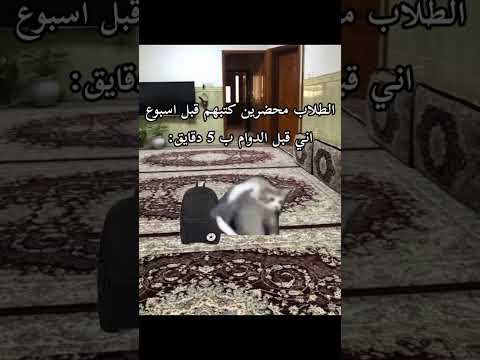 اني ميمز مدرسة العودة إلى المدارس ميمزات ميم اكسبلور اكسبلور لايك لايك تحشيش