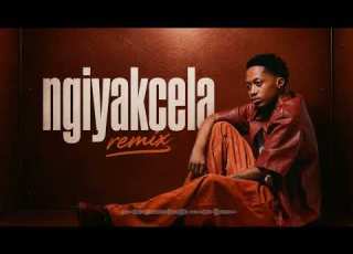 Ngiyak Cela ShaunMusiq Bassie LeeMcKrazy Feat Mashudu Soulful Amapiano Remix