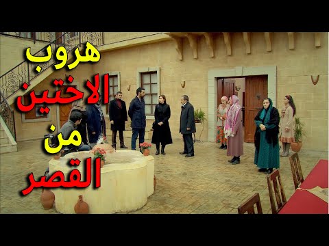 اكتشفو هروب زهرة واختها من القصر وعم يحاولو يدورو عليهن يا ترى شو مصيرن هلأ