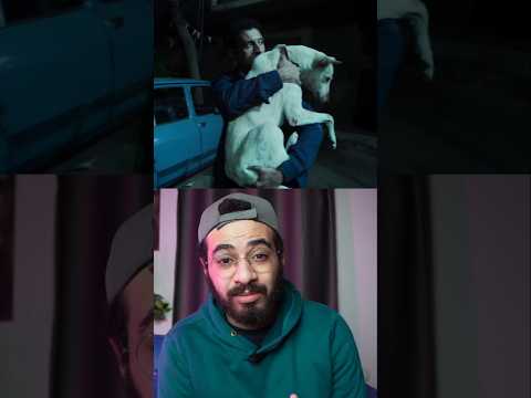 تفاصيل متعرفهاش عن فيلم البحث عن مأوى للسيد رامبو