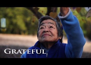 GRATEFUL A Love Song To The World Empty Hands Music Nimo Feat Daniel Nahmod