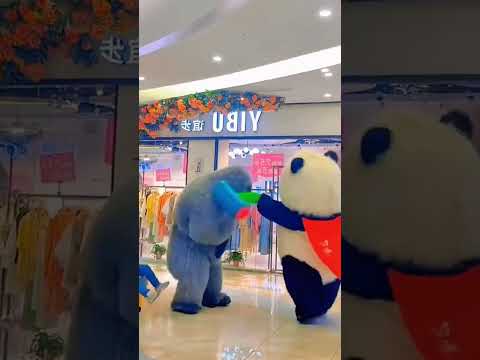 الباندا ال مبتريحش ضحك الكوليرا باند اكسبلور الغلا بندي Funny الجيلي Gorilla البيتا