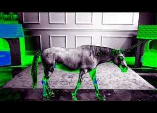 Diana The Walking Unicorn Sponsored By Gamavision Csupo Effects
