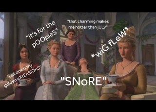  The Princesses Carrying Shrek The Third For Almost 7 Minutes Straight Re Upload Kinda