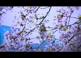 یک پیام نو روزی و عیدی برای کسی که دوستش داری
