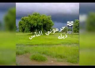  حرموني الناس ديله العازف عامر امنقور