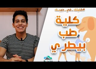  I Know Everything About The Faculty Of Veterinary Medicine And Its Departments Your College In Y