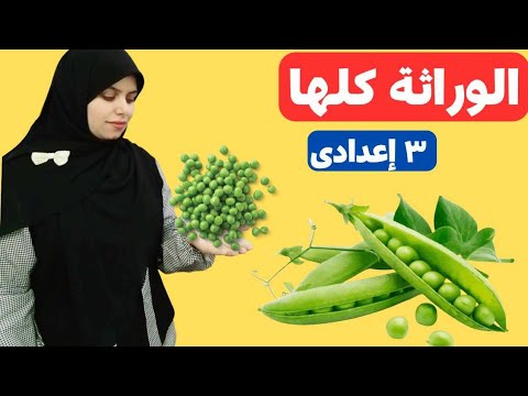 المبادئ الأساسية للوراثه للصف الثالث الاعدادي الدرس كامل