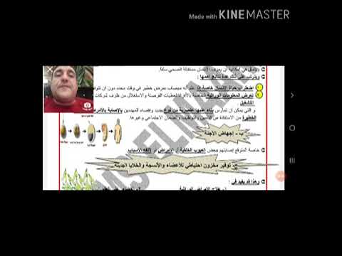 الصف الثالث الثانوى البيوتيقا الجزء الثانى الصف الثالث الثانوى البيوتيقا الجزء الثانى