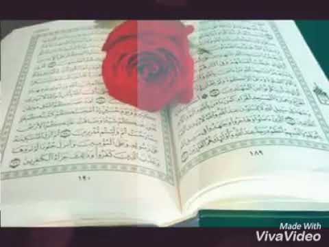 تصميمي متفائل ابدا انا ان گان همآ او هنا