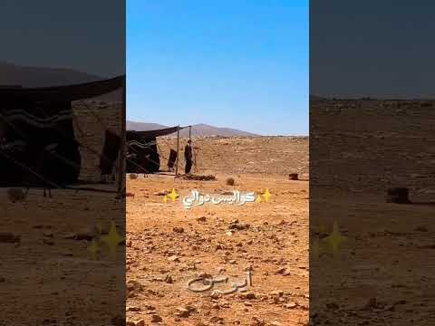 كواليس اغنية دوالي Alshami دوالي اكسبلور اغاني الشامي ترند وين السيلاوي دوالي صبرا