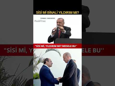 Erdoğan Daha önce Katil Zalim Darbeci Dediği Barışmayacağını Söylediği Sisi Ile Buluştu