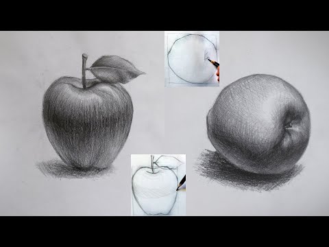 DRAW A REALISTIC APPLE For Beginner Still Life DRAW A REALISTIC APPLE For Beginner Still Life