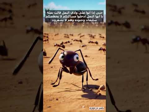 حتى إذا أتوا على وادي النمل قالت نملة يا أيها النمل ادخلوا مساكنكم لا يحطمنكم سليمان وجنوده