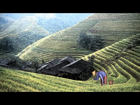 A Chinese Farmer Story Alan Watts